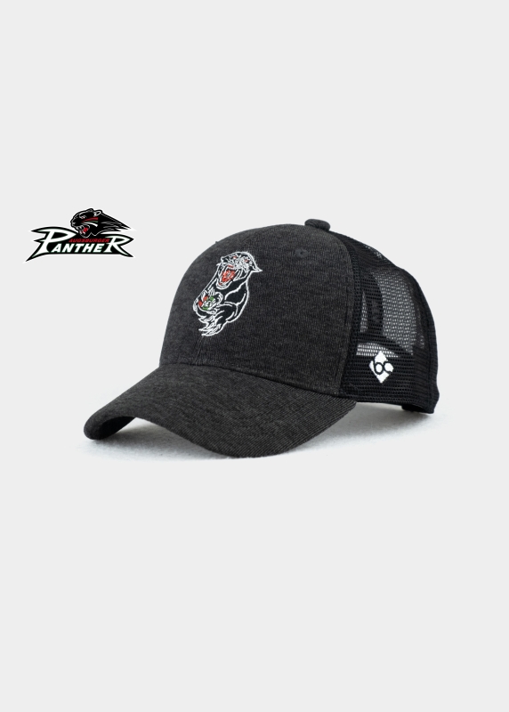 Cap "Augsburger Panther" - schwarz (Curved)